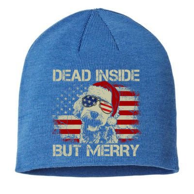 American Flag Doodle Santa Christmas Dead Inside But Merry Gift Sustainable Beanie