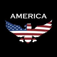 American Flag Eagle Cooling Performance Crew T-Shirt