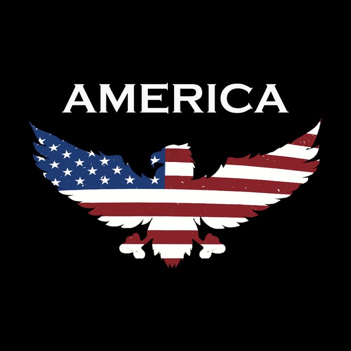 American Flag Eagle Cooling Performance Crew T-Shirt