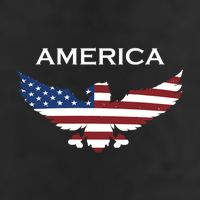 American Flag Eagle Adult Drive Performance Visor