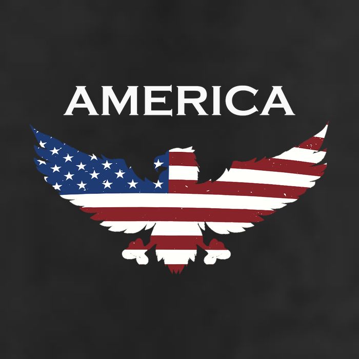American Flag Eagle Adult Drive Performance Visor