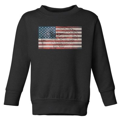 American Flag Eagle USA Toddler Sweatshirt