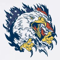 American Flag Eagle Patriot Gift Apron