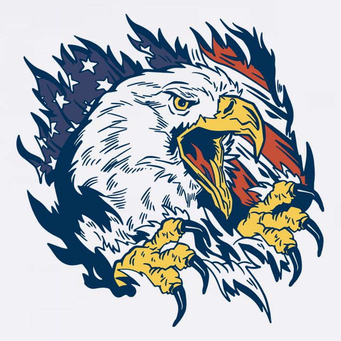 American Flag Eagle Patriot Gift Apron