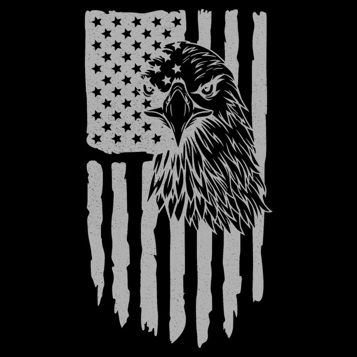 American Flag Eagle Patriot City Backpack