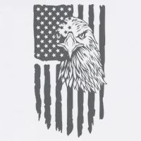 American Flag Eagle Patriot Mug