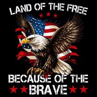 American Flag Eagle 4th Of July Land Of The Free Cooling Performance Crew T-Shirt
