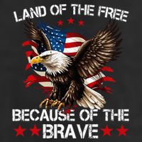 American Flag Eagle 4th Of July Land Of The Free Adult Drive Performance Visor