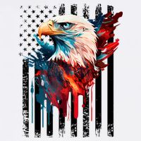 American Flag Eagle Patriots America Eagle Toddler Long Sleeve Shirt