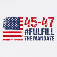 American Flag Fulfill The Mandate 45 47 Adult Drive Performance Visor