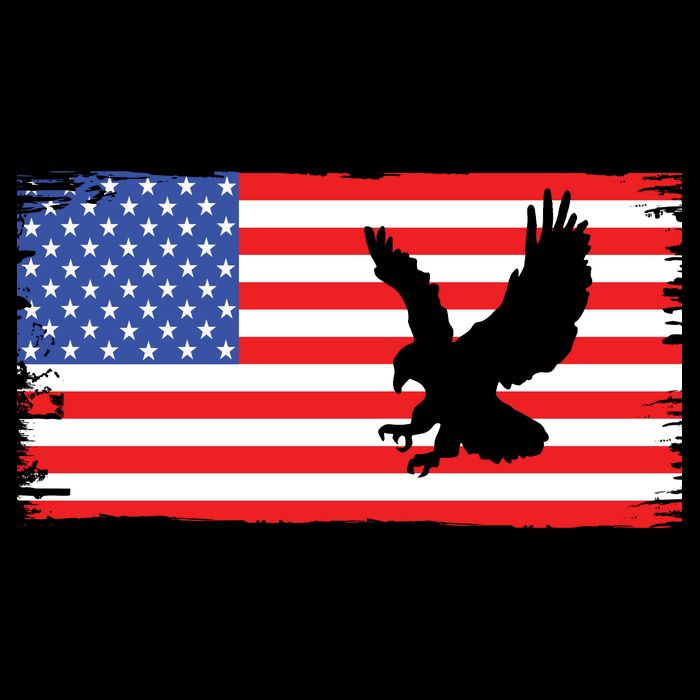 American Flag Flying Eagle City Backpack