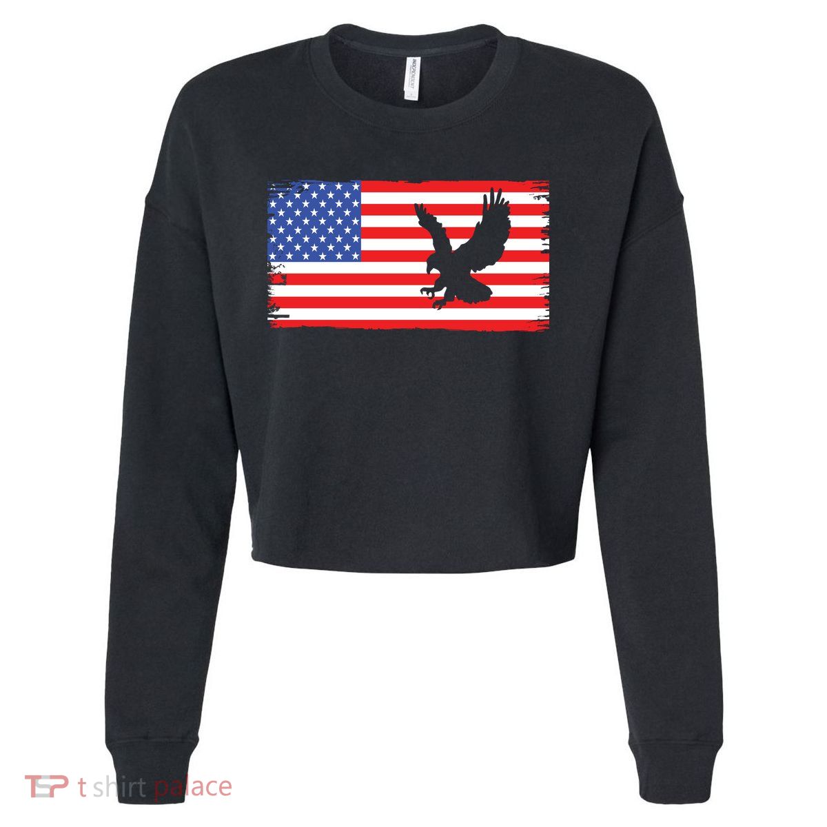 American Flag Flying Eagle Cropped Pullover Crew