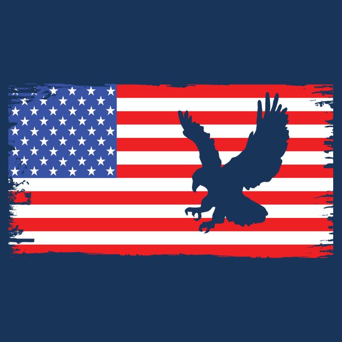 American Flag Flying Eagle Cooling Performance Crew T-Shirt