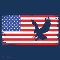 American Flag Flying Eagle 16 in Basic Backpack