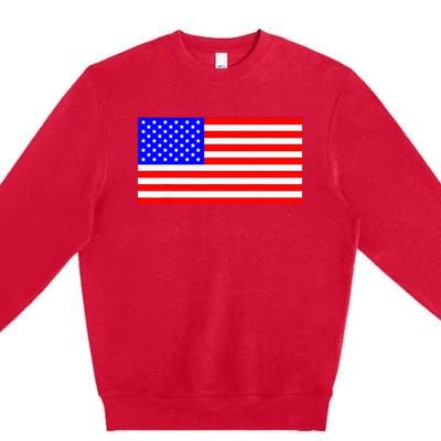 American Flag Flat Color Design Premium Crewneck Sweatshirt