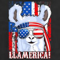 American Flag Funny 4th Of July Llamerica 11oz C Handle Ceramic Mug