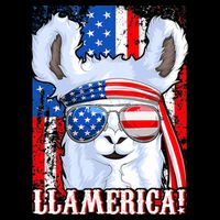 American Flag Funny 4th Of July Llamerica Drawstring Bag