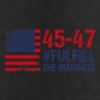 American Flag Fulfill The Mandate 45 47 Adult Drive Performance Visor