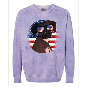 America Funny Gift Colorblast Crewneck Sweatshirt