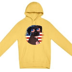 America Funny Gift Premium Pullover Hoodie