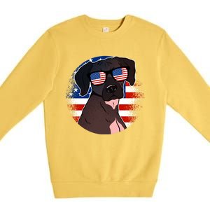 America Funny Gift Premium Crewneck Sweatshirt