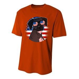 America Funny Gift Performance Sprint T-Shirt