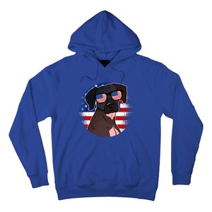 America Funny Gift Hoodie