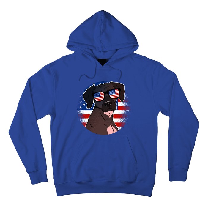 America Funny Gift Hoodie