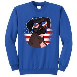 America Funny Gift Sweatshirt