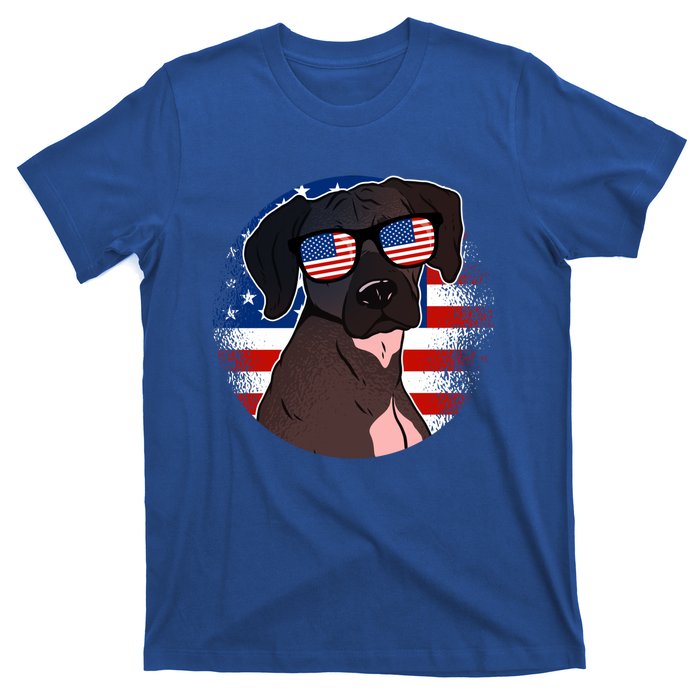 America Funny Gift T-Shirt