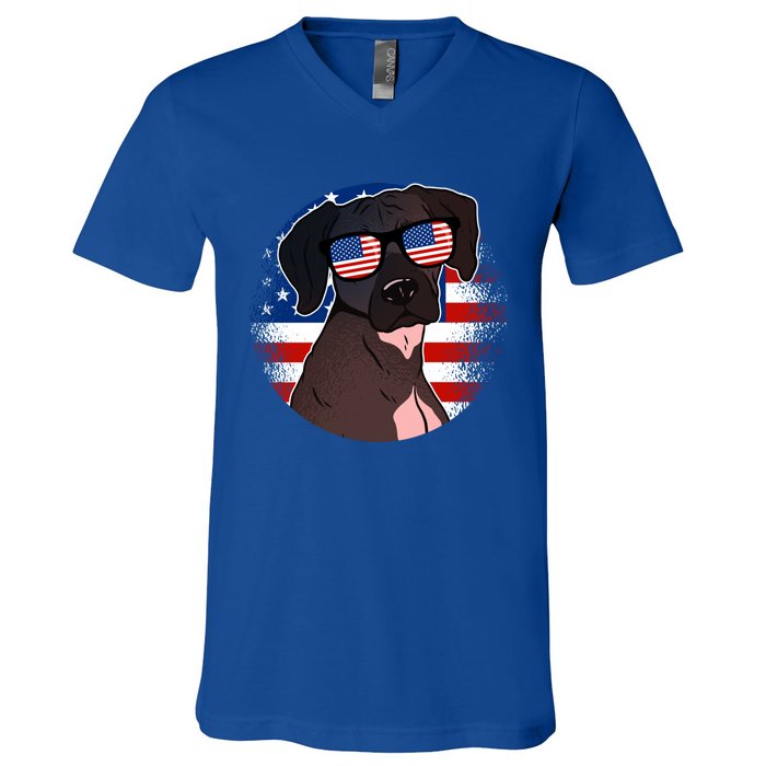 America Funny Gift V-Neck T-Shirt