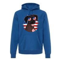 America Funny Gift Premium Hoodie