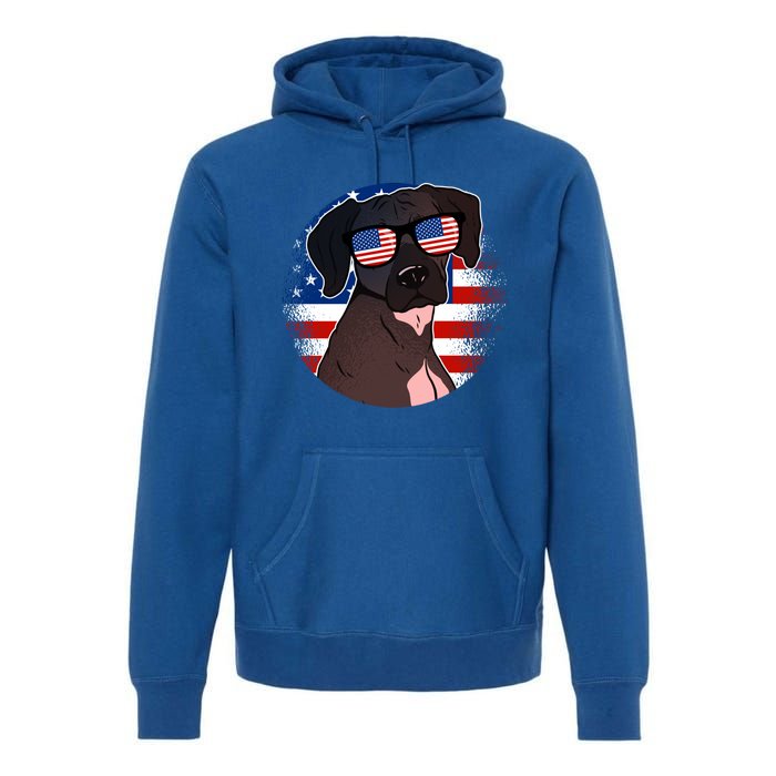 America Funny Gift Premium Hoodie