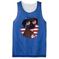 America Funny Gift Mesh Reversible Basketball Jersey Tank