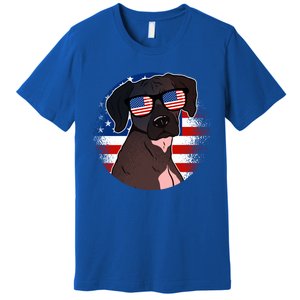 America Funny Gift Premium T-Shirt