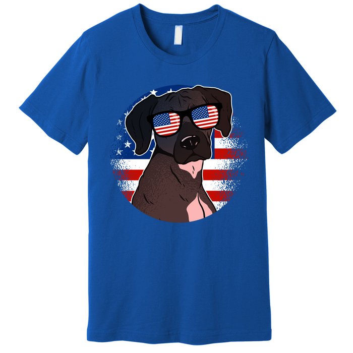 America Funny Gift Premium T-Shirt