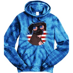 America Funny Gift Tie Dye Hoodie