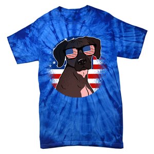 America Funny Gift Tie-Dye T-Shirt