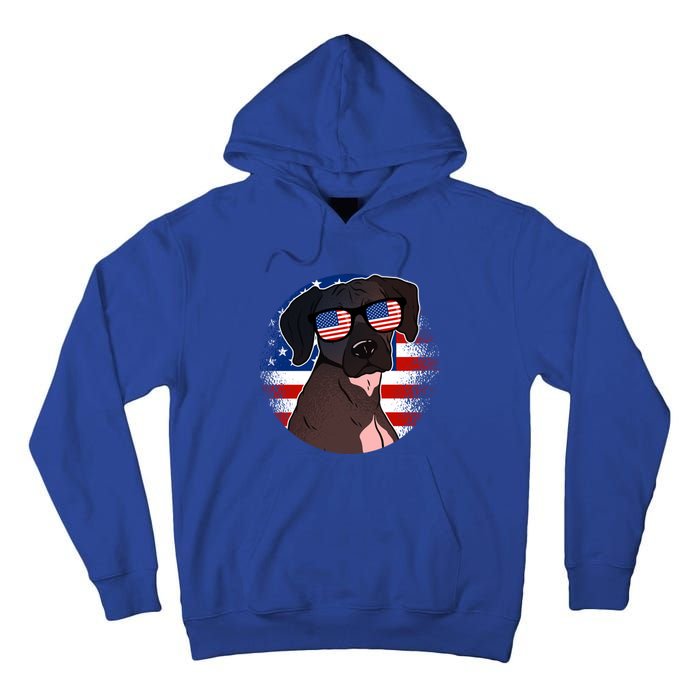 America Funny Gift Tall Hoodie