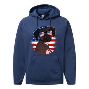 America Funny Gift Performance Fleece Hoodie