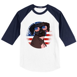 America Funny Gift Baseball Sleeve Shirt