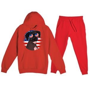 America Funny Gift Premium Hooded Sweatsuit Set