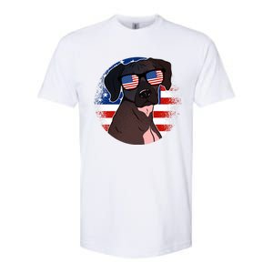 America Funny Gift Softstyle CVC T-Shirt