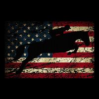 American Flag Horse Riding Show Jumping Cooling Performance Crew T-Shirt