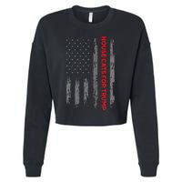 American Flag House Cats For Trump 2024 Trump Cats Cropped Pullover Crew