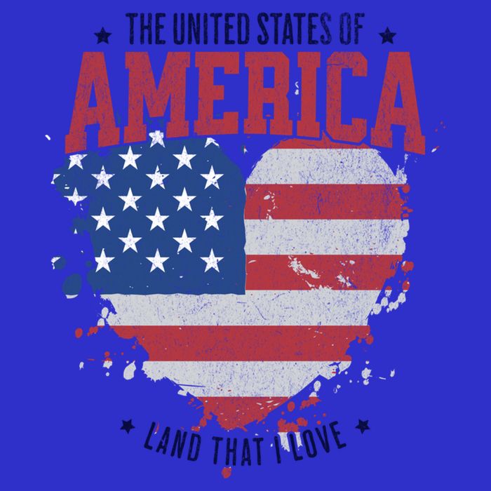 American Flag Heart 4th Of July Usa Land That I Love Meaningful Gift Womens T-Shirt