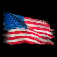 American Flag Independence Day Zip Tote Bag