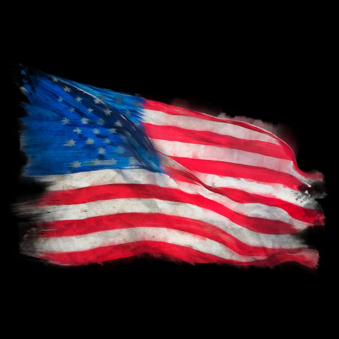 American Flag Independence Day Zip Tote Bag