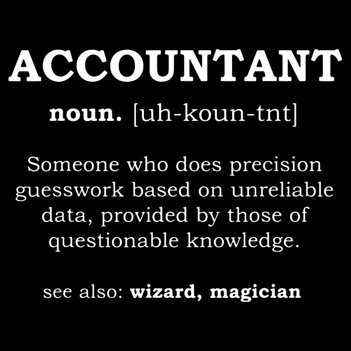 Accountant Funny Job Title Dictionary Profession Definition Cropped Pullover Crew