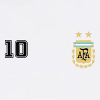 Argentina Flag Jersey Vintage Futbol Soccer Remera Kids Hoodie